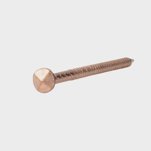 75 x 3.25mm Bronze Colour Rose Head S/Steel A/GROOVE 5KG