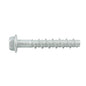 WERCS AnkaScrew Screw-in Anchor M6 X 100MM Galv AS06100WGM (50 pcs/box)