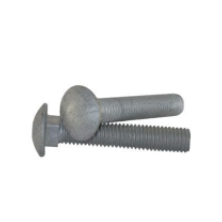 Coach Bolt and Nut Galvanised