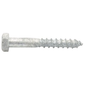 COACH SCREWS M12X65